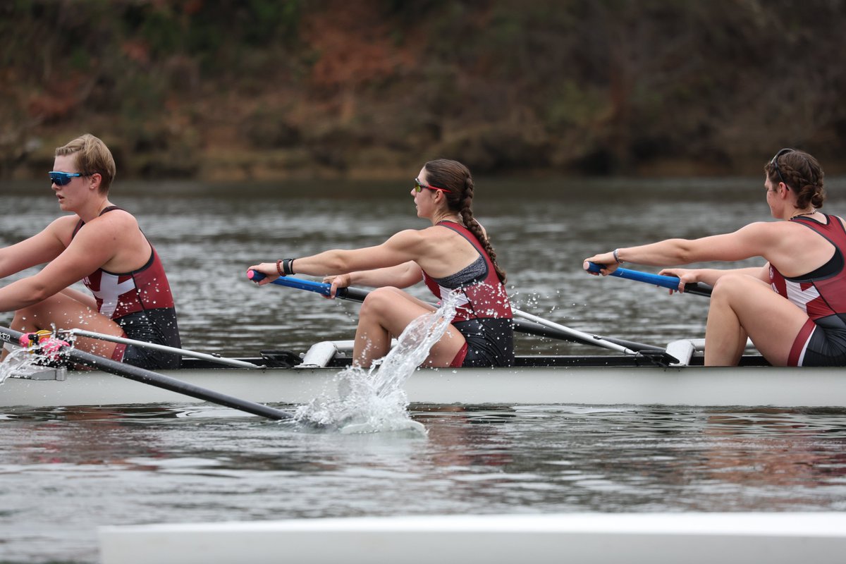 Alabama Rowing tweet media