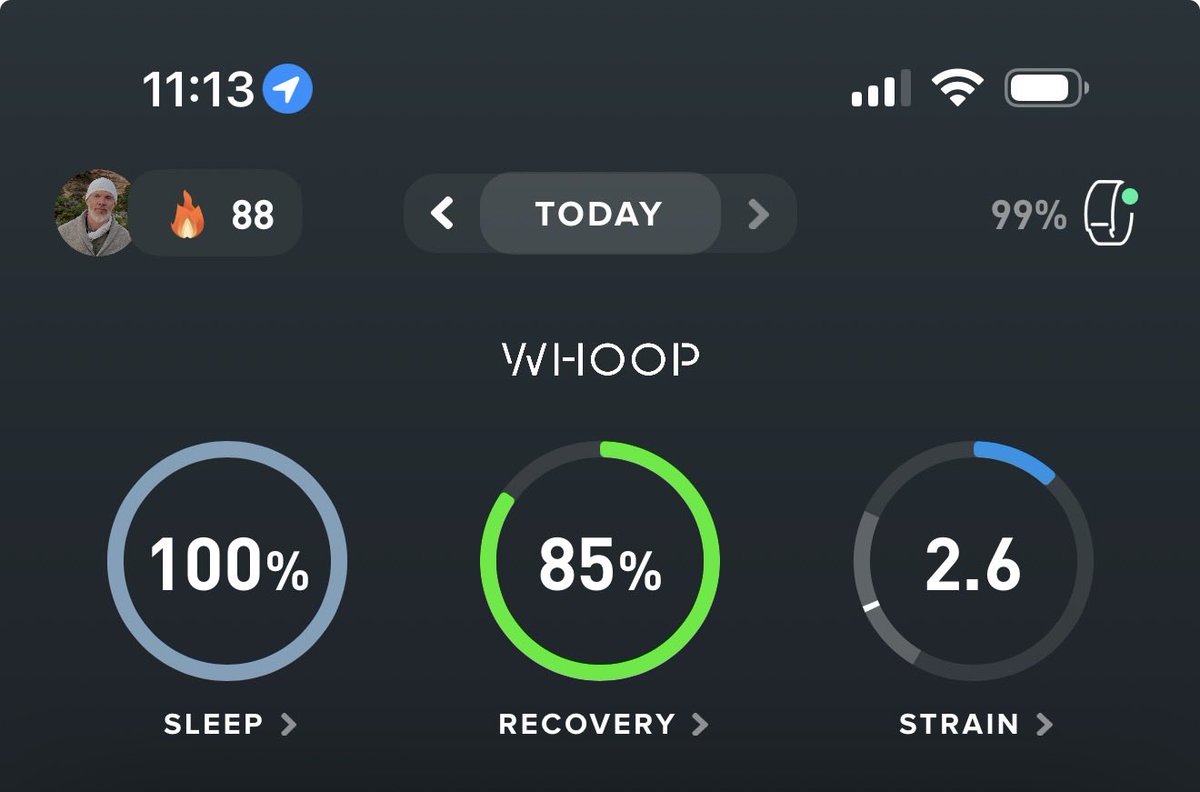 Mark MacLeod tweet media