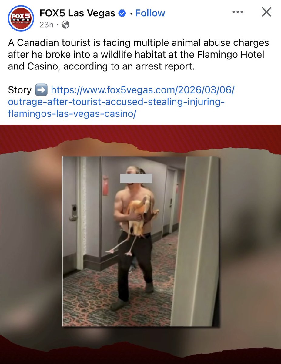 zone7squad's tweet image. Why are we protecting his face? ID him! This ain’t “ allegedly” - he freaking did it! Jail!! #Wildlife #protect #CSI #criminal @FlamingoVegas @CrimeCon