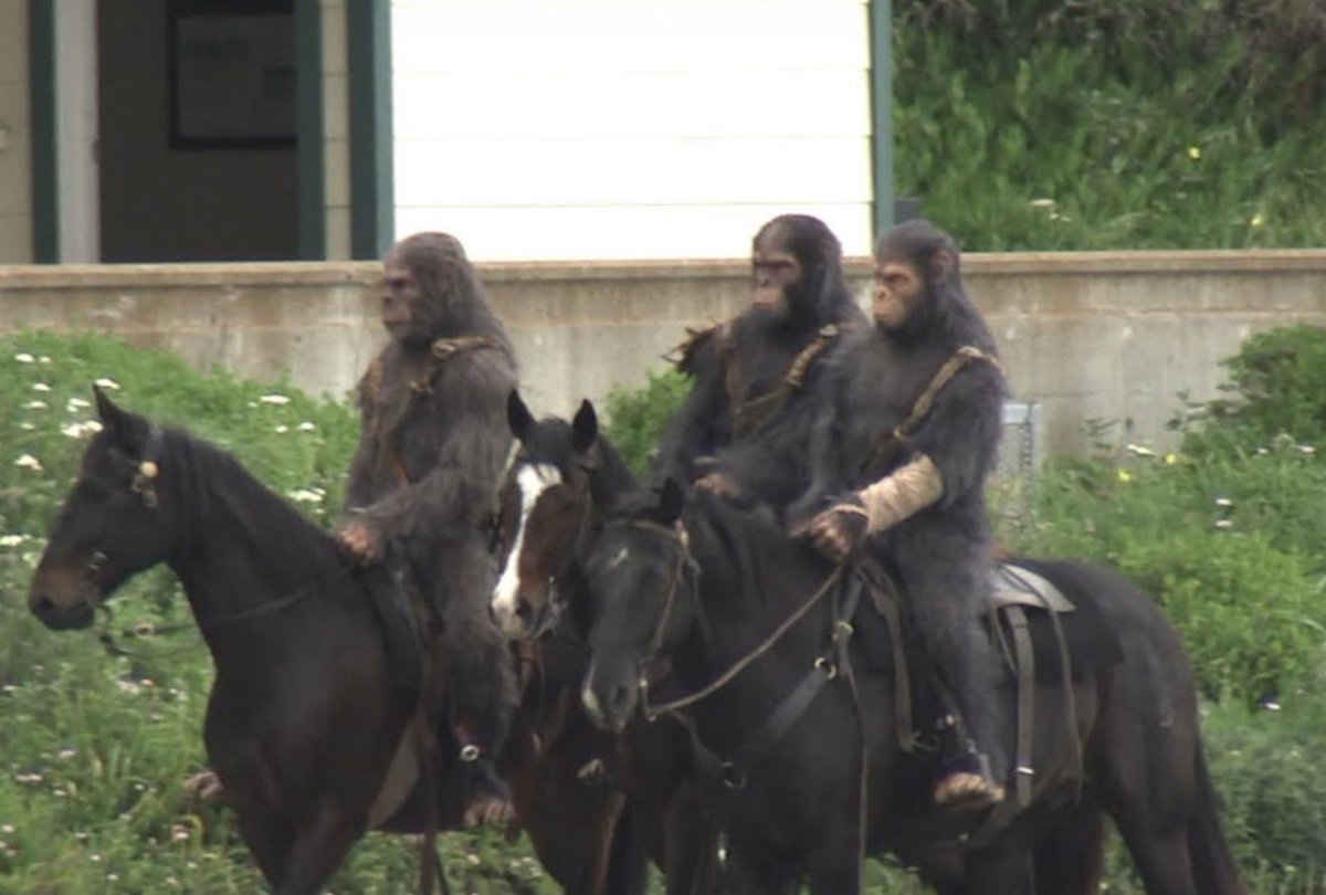 Manchester centre last night.