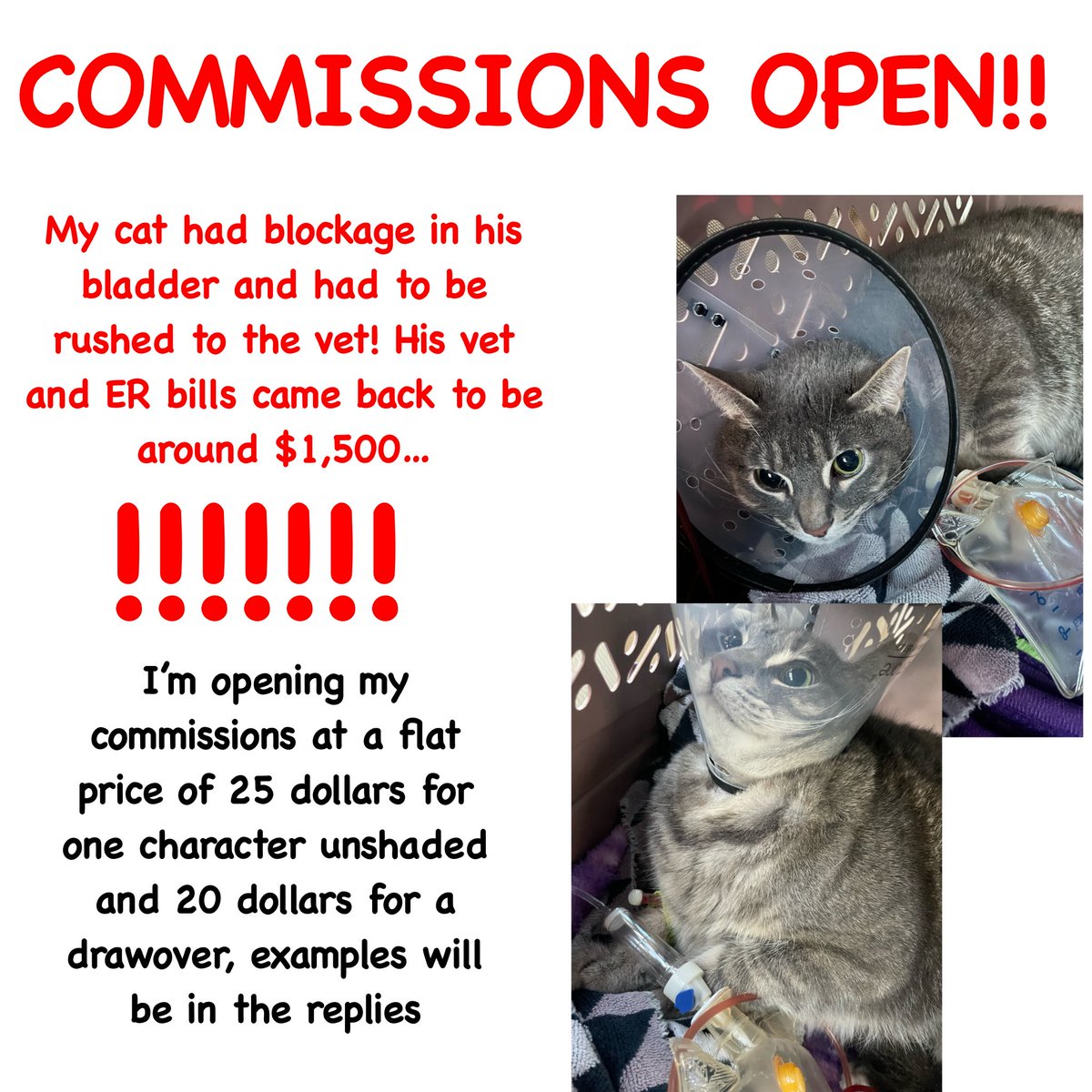 Spadiddle's tweet photo. Hi guys! Please consider this ‼️‼️‼️🚨
CASHAPP ONLY https://t.co/MYFtfFCEJN