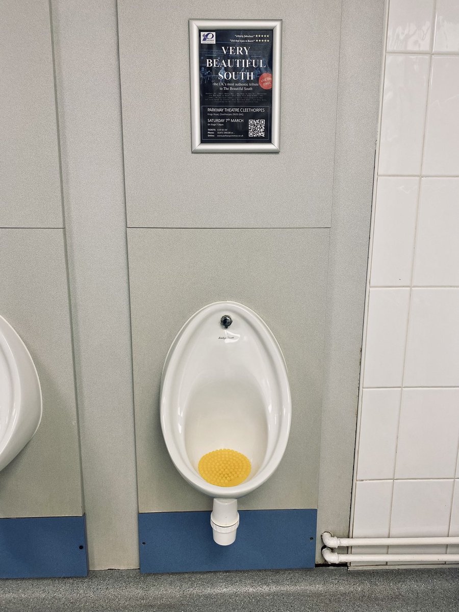 Very Beautiful South tweet media