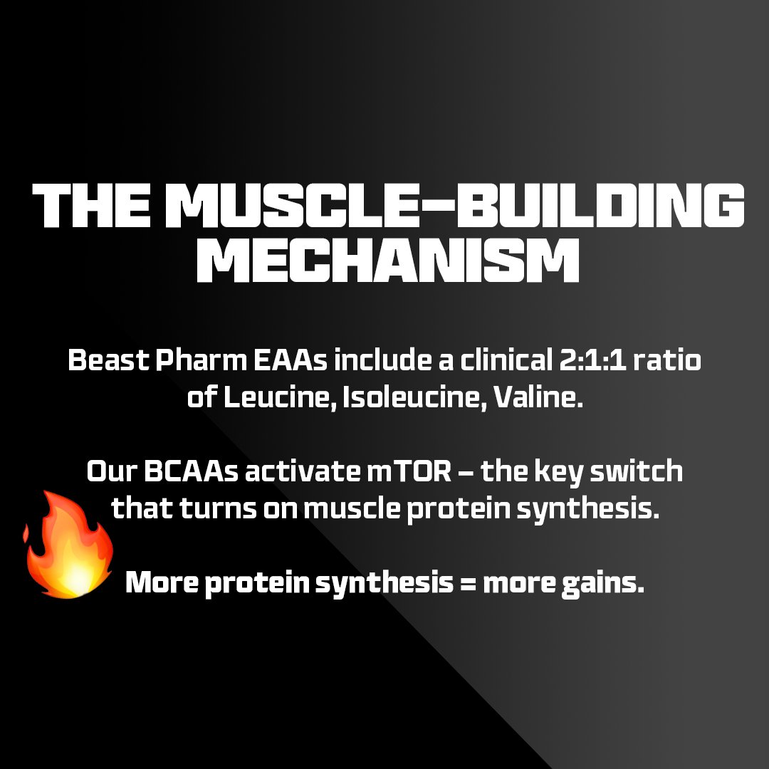 BEAST Enterprises tweet media