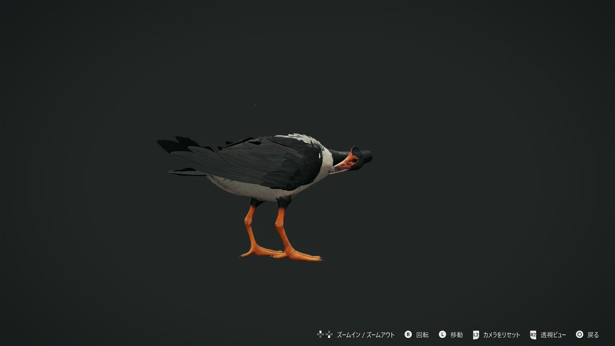 💎🐧　#theHunter