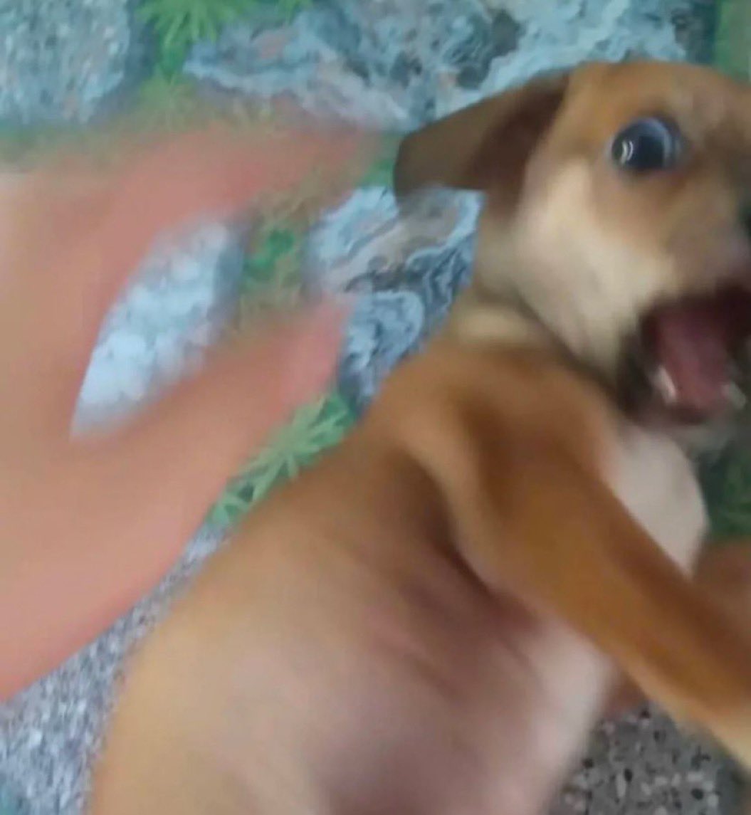 *..‍ ‍ ‍ 𝓈 ͜woosh ᵎᵎ tweet media