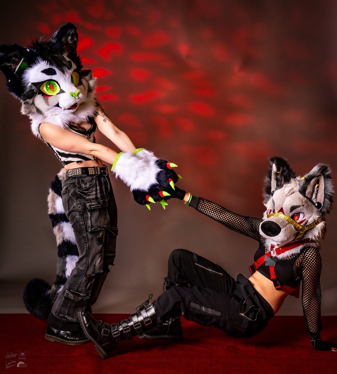 ✨Ponder✨ hiatus due to college tweet media