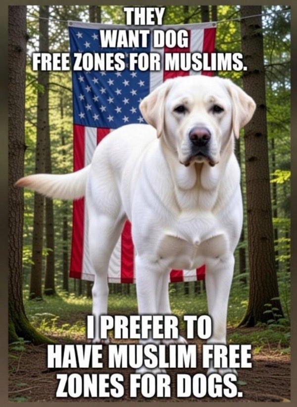gracieback2's tweet photo. ✨Who’s with me ?

✨Your animal pics are always welcome on my post about animals !! https://t.co/X2hZCVWSar