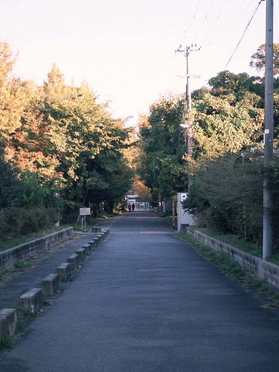 おるか tweet media