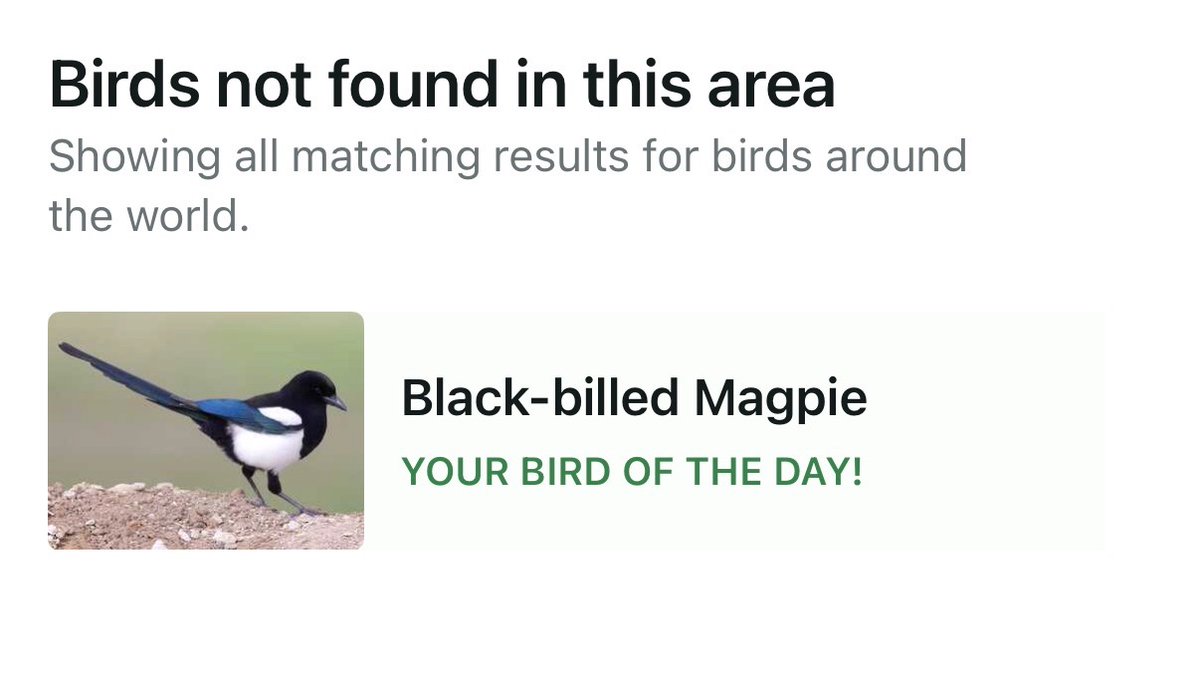 hannaH 🐦‍⬛✖️✖️ tweet media