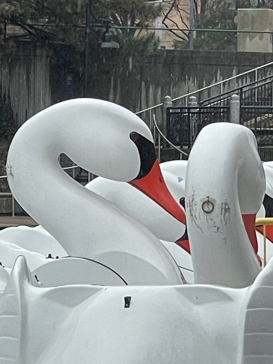 Goal #1 for the day met. 👀 my peeps and that one was still side eyeing me 😉😊