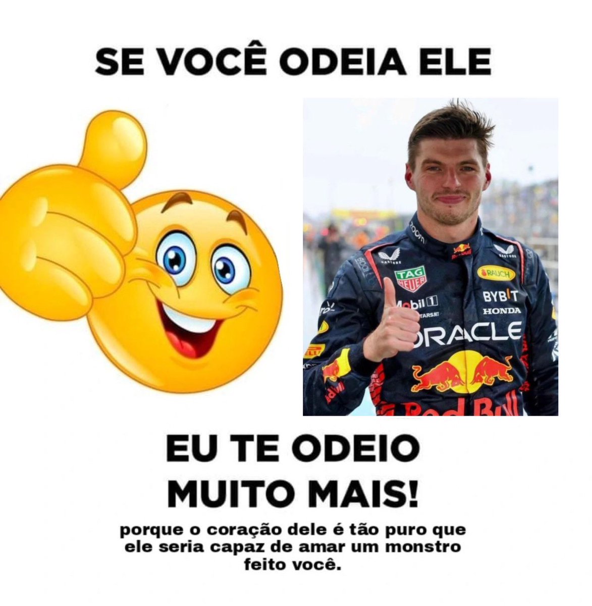 🚨nesse perfil não aceitamos críticas a Max Verstappen!!!