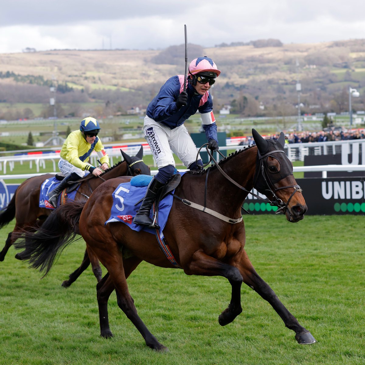 Racing Post tweet media