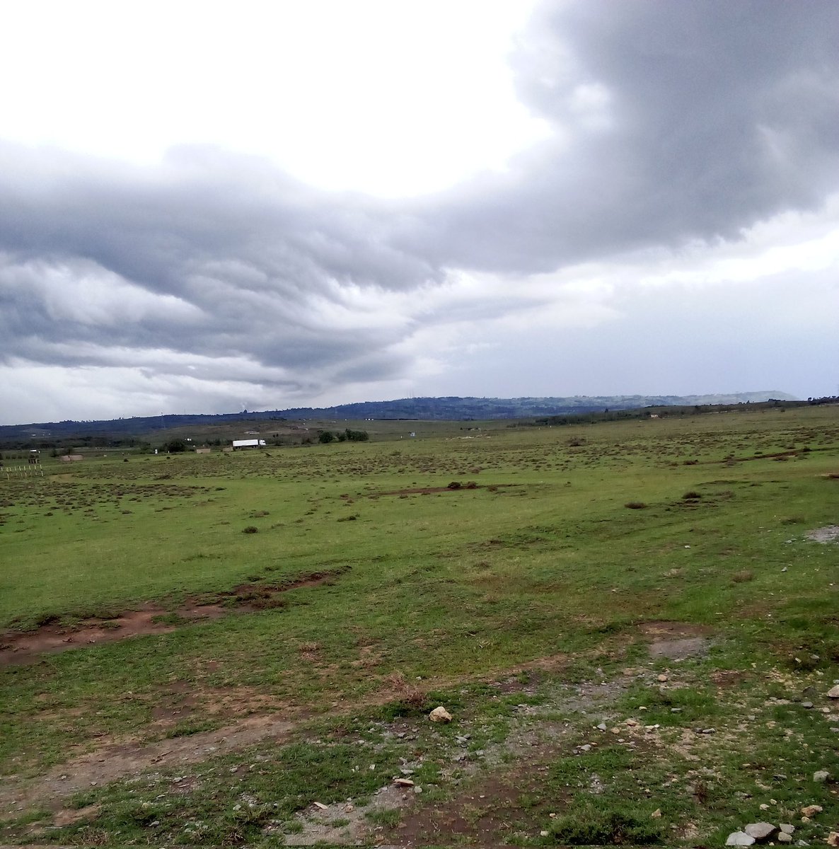 IanoohMathenge's tweet photo. Storm clouds rolling over the open plains of Naivasha.

The land looks calm, but the sky tells a different story.

Moments like this remind you how powerful nature feels just before the rain arrives. 🌿

Have you ever watched a storm forming over the Great Rift Valley? https://t.co/rvZPQqvWGG