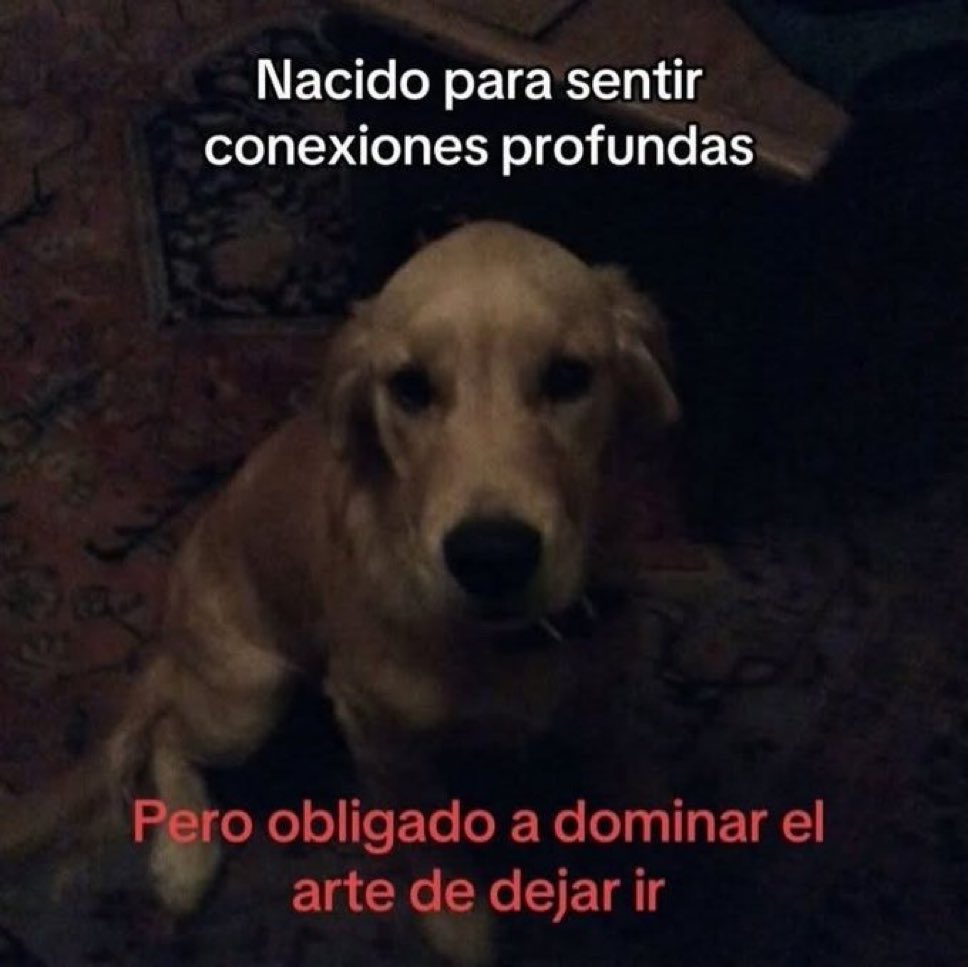 🌙 mini textos (@soyminitextos) on Twitter photo 