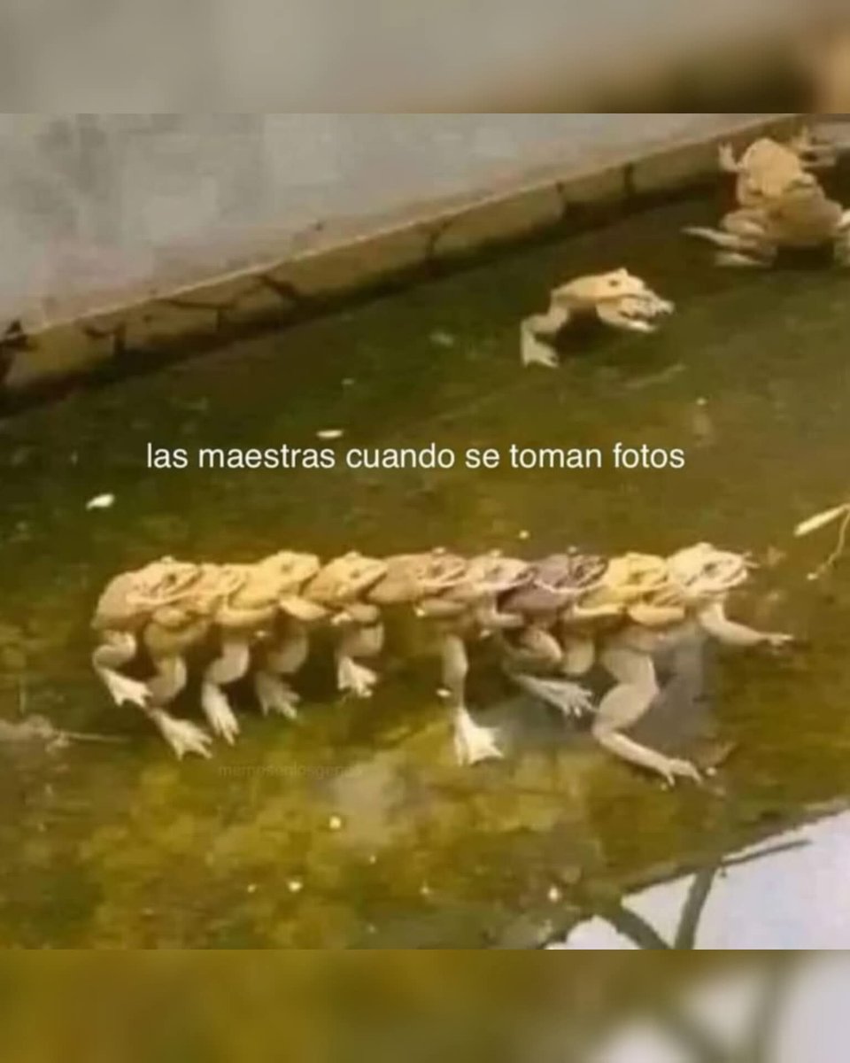 En Júpiter (@en_jupiter_) on Twitter photo 