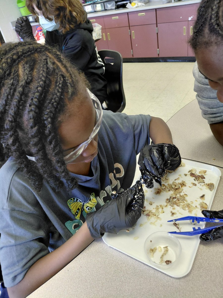 jshaw_hes tweet media