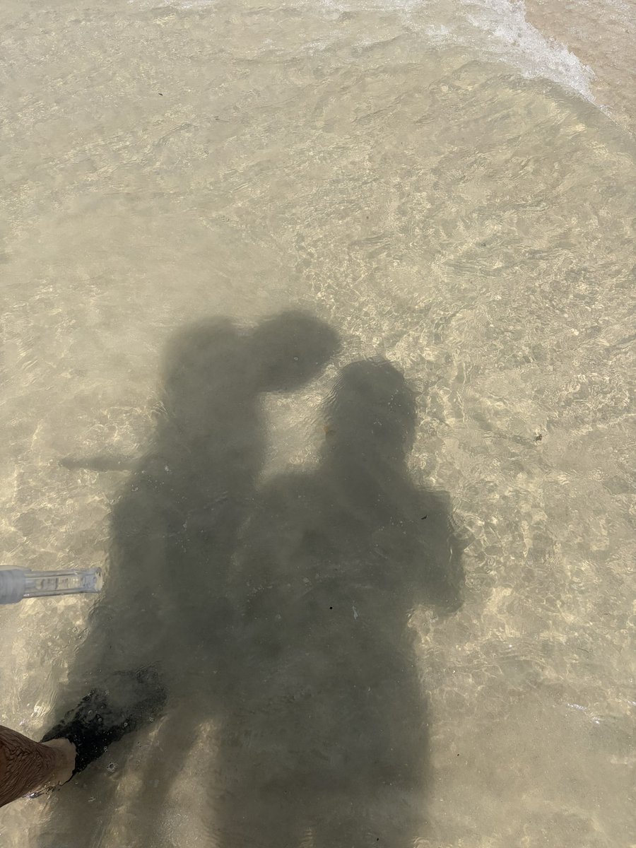 sunsetlover tweet media