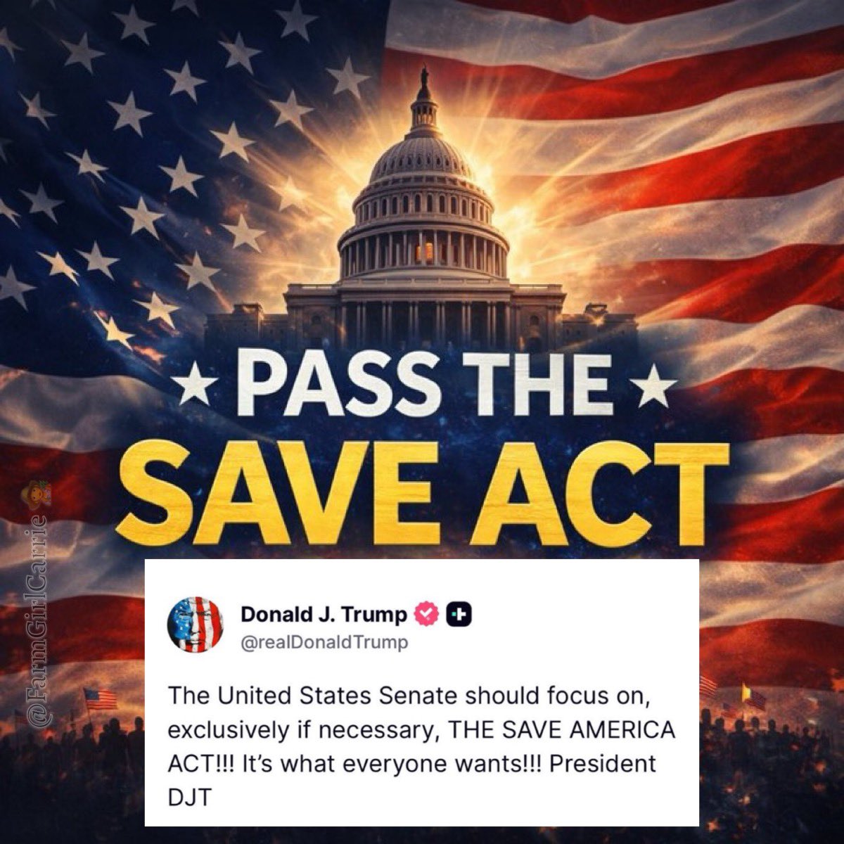 Farm Girl Carrie 👩‍🌾 tweet media