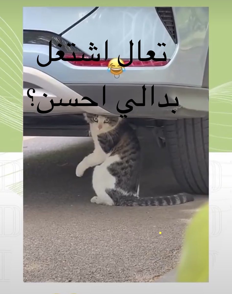 Abdullah ™️ tweet media