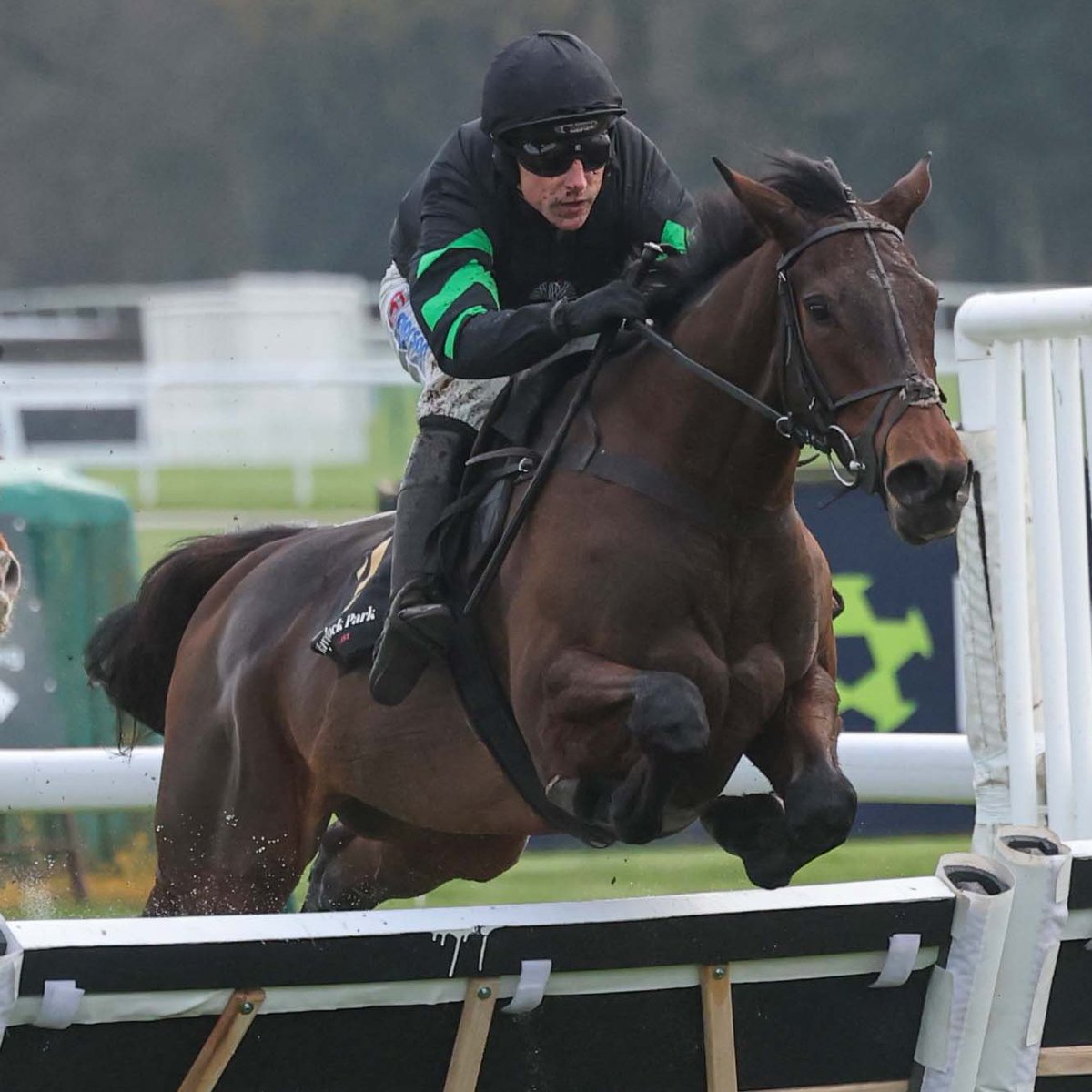 Racing Post tweet media