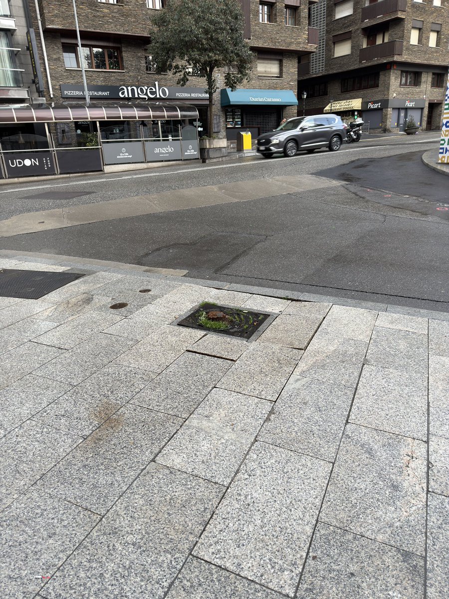 Pere Moles ——— tweet media