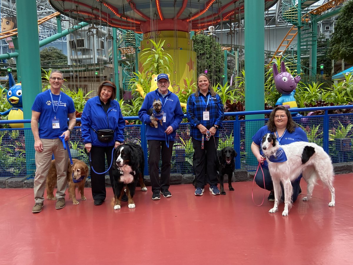 North Star Therapy Animals of Pet Partners tweet media