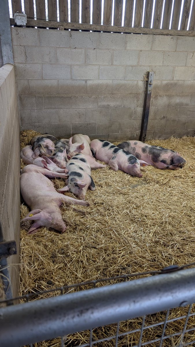 i went to a farm today