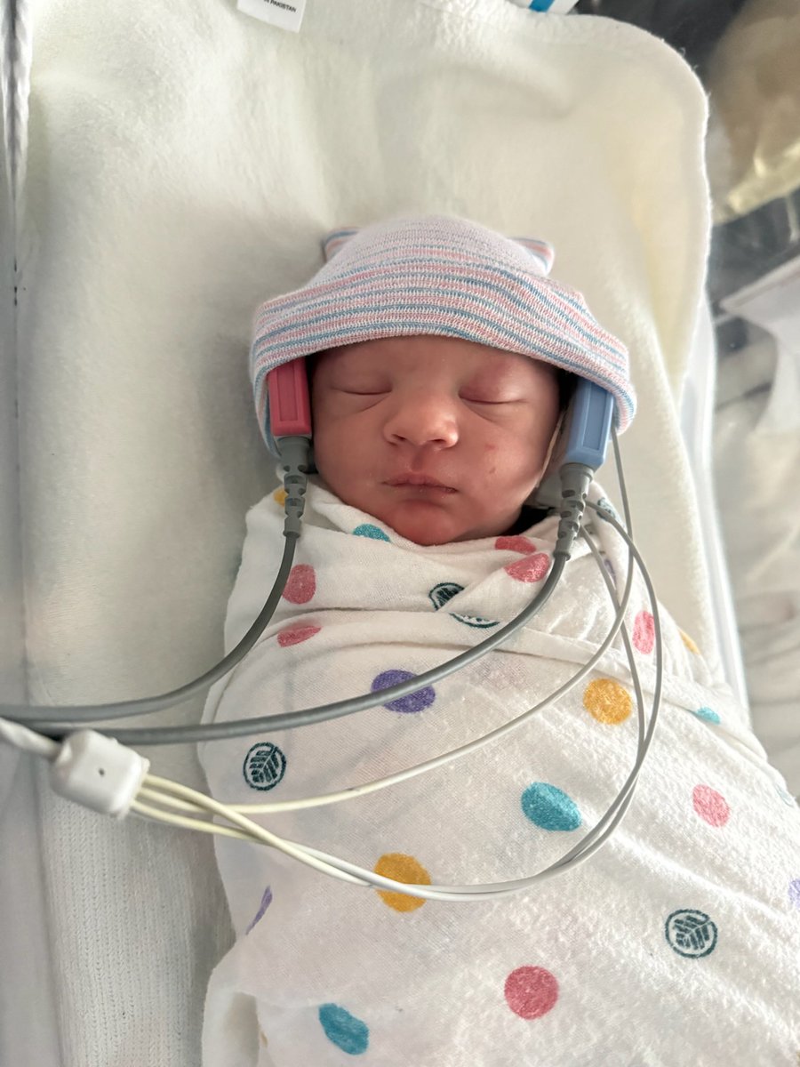 Josh Sides tweet media