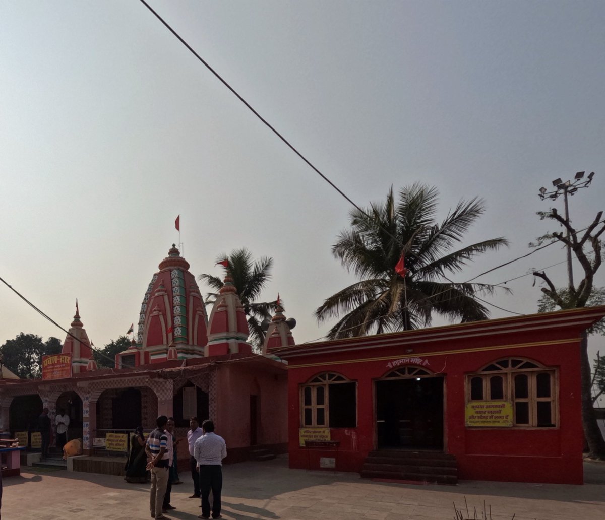 laymans_profile tweet media