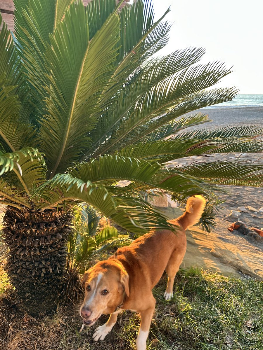 Helen Krawc base.eth tweet media