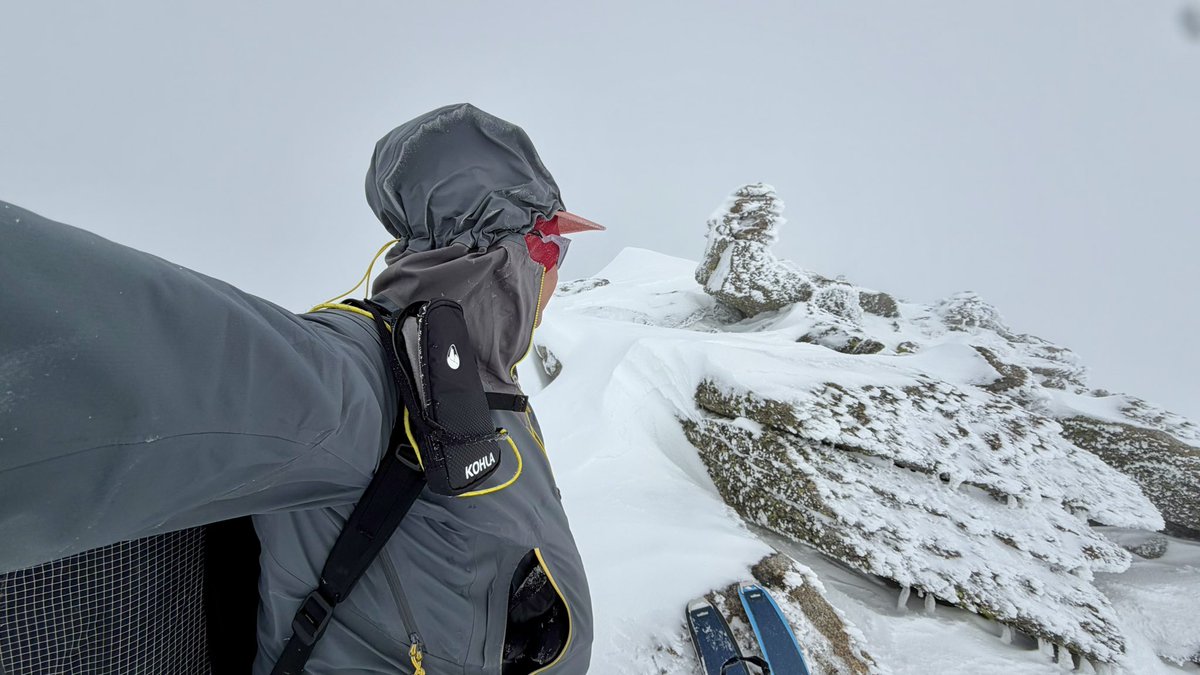 Jaume Jubert Ferré tweet media