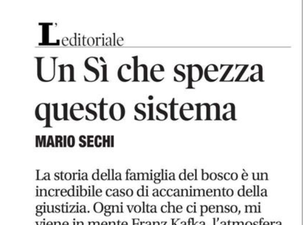 Vitalba Azzollini tweet media