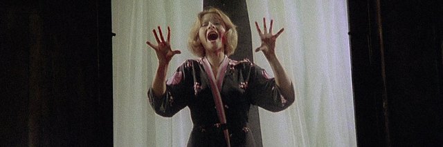 Mondo Bizarro tweet media