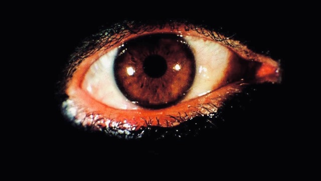 Mondo Bizarro tweet media