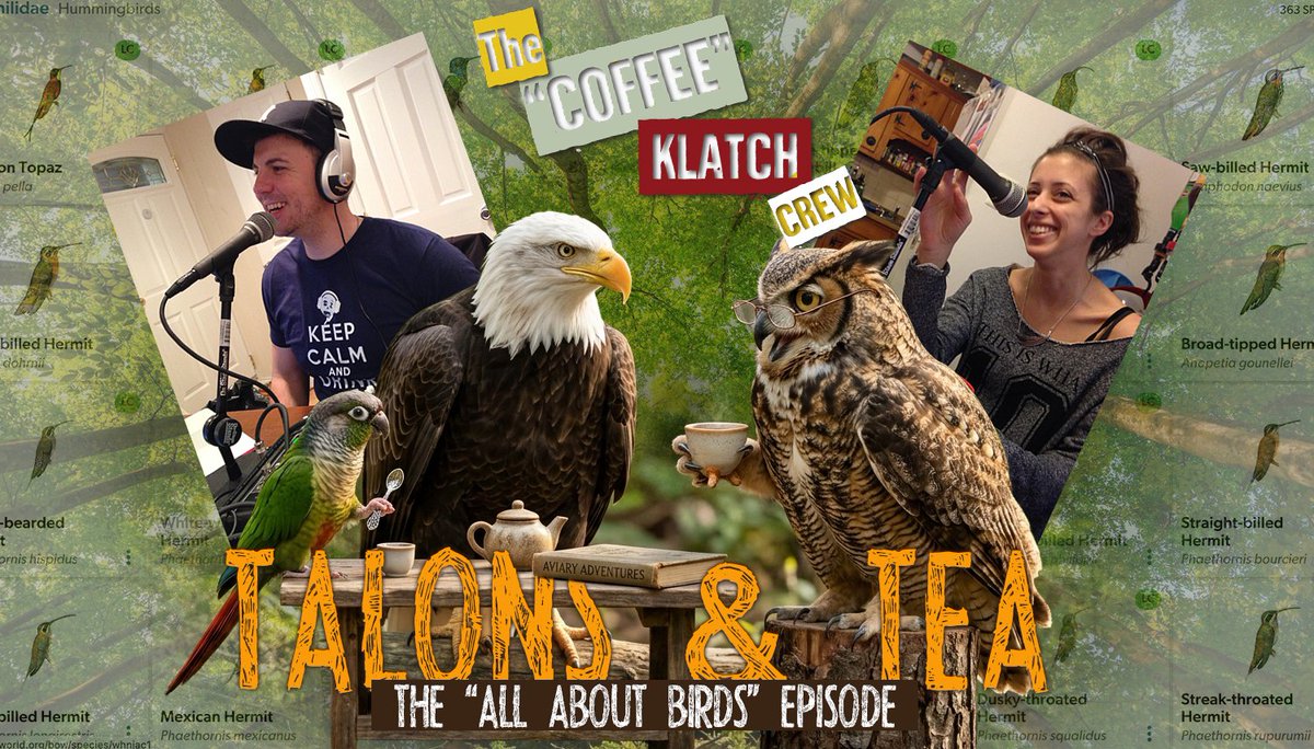 Coffee Klatch Crew tweet media