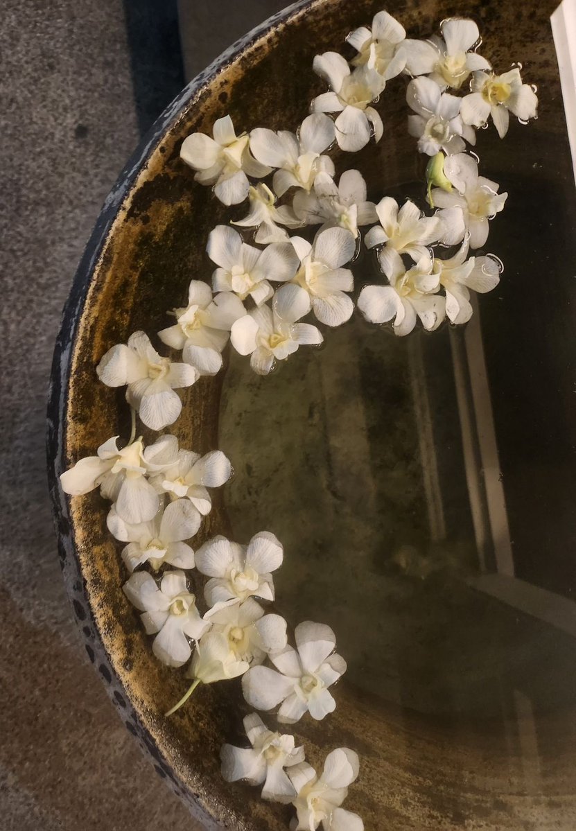 syria pinterest tweet media