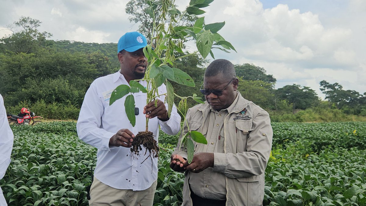 MinofLands,Agric,Fisheries,Water&Rural Development tweet media