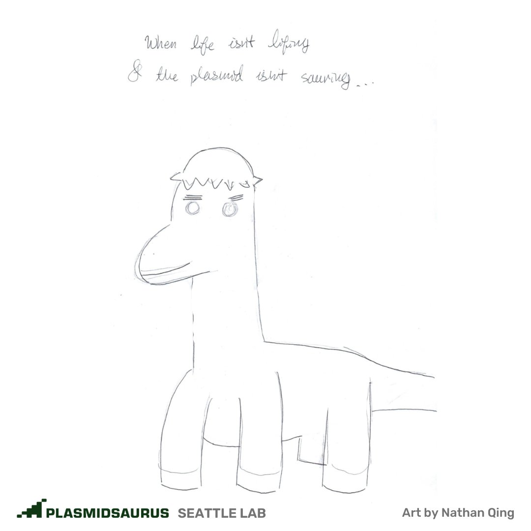 plasmidsaurus tweet media