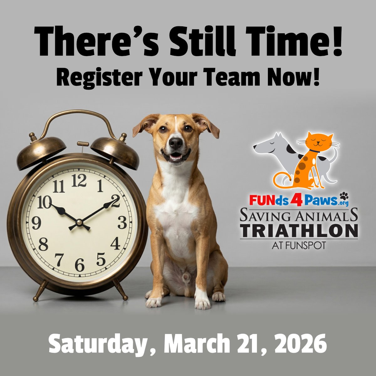 funspotnh's tweet image. 🐾 There’s still time to register your team for the FUNds4Paws Saving Animals Triathlon at Funspot! 🐾

Games, fun competition, and a great cause supporting animals. 🐶🐱

📅 Saturday, March 21

Register now:
bit.ly/4kIxD7C

#FUNds4Paws #FunspotNH #SavingAnimals