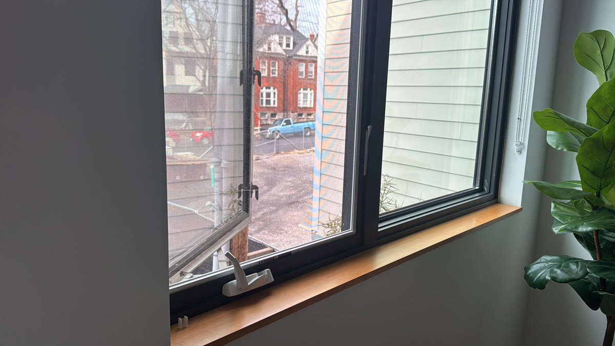 natemillssports's tweet image. Today, I opened my apartment window for the first time

#FalseSpring is feeding generations