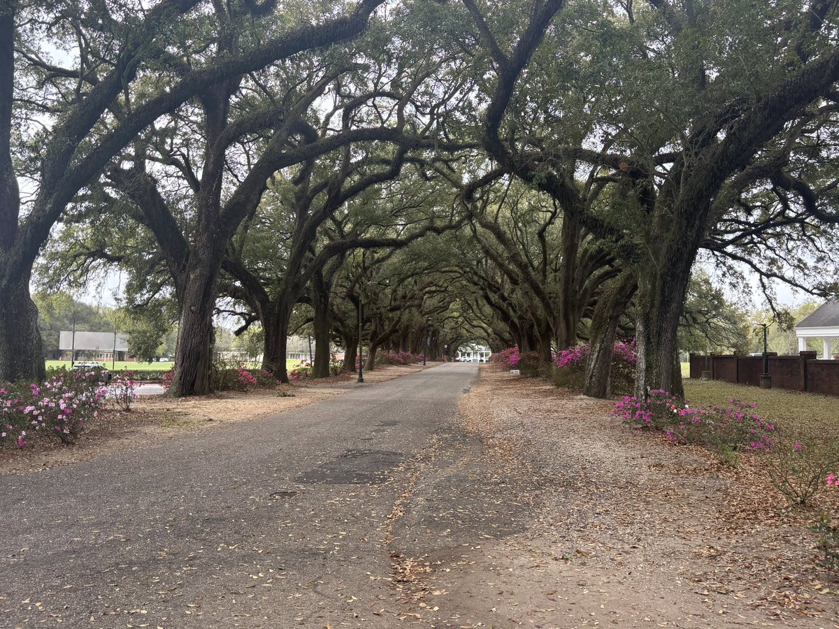 Eric Mackey tweet media