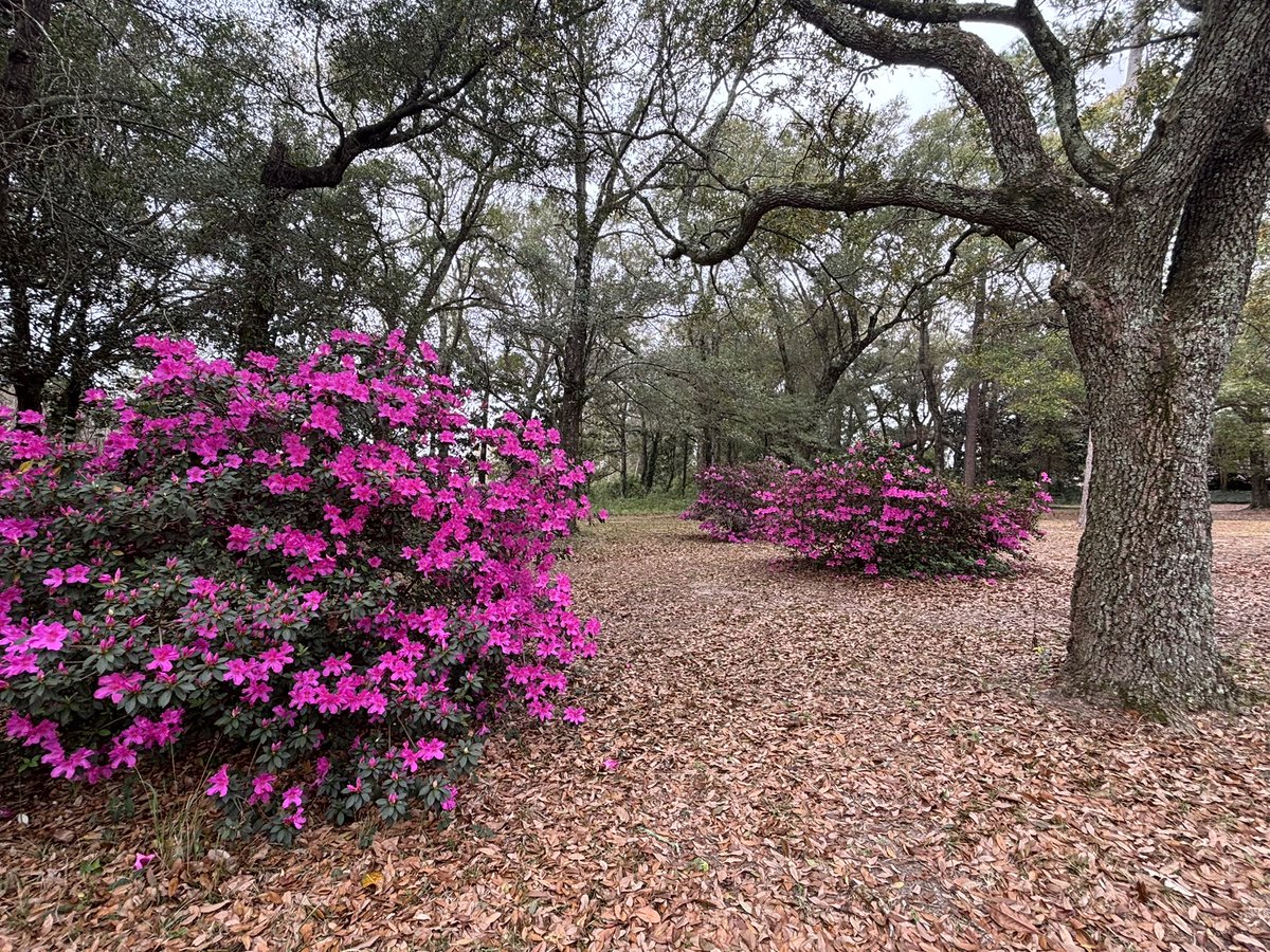 Eric Mackey tweet media