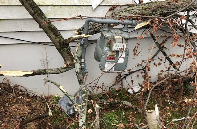mosafegas's tweet photo. ⛈️ Strong storms hit Missouri last night 🌬️🌳 Check your property &amp; clear debris around gas meters 🔧🍃 Stay safe &amp; call 911 if you smell gas 🔥 #StormSafety #NaturalGas #Missouri #HomeSafety https://t.co/8aZ0LB0bs9