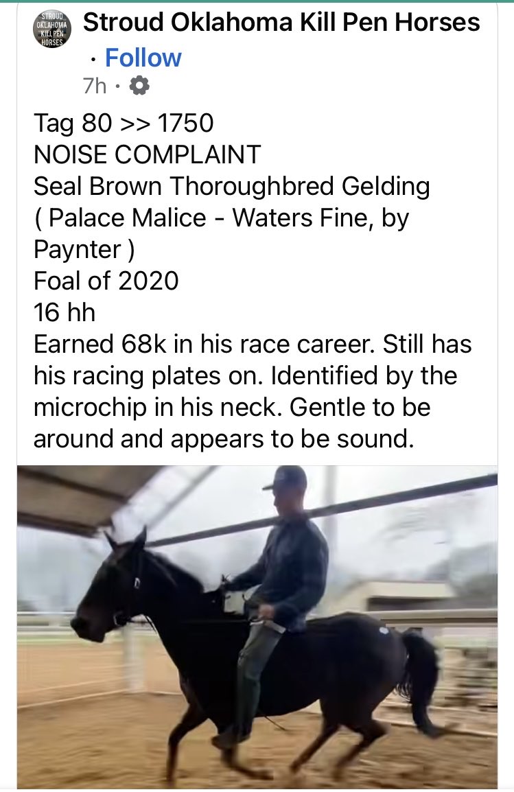 The Epona Initiative tweet media