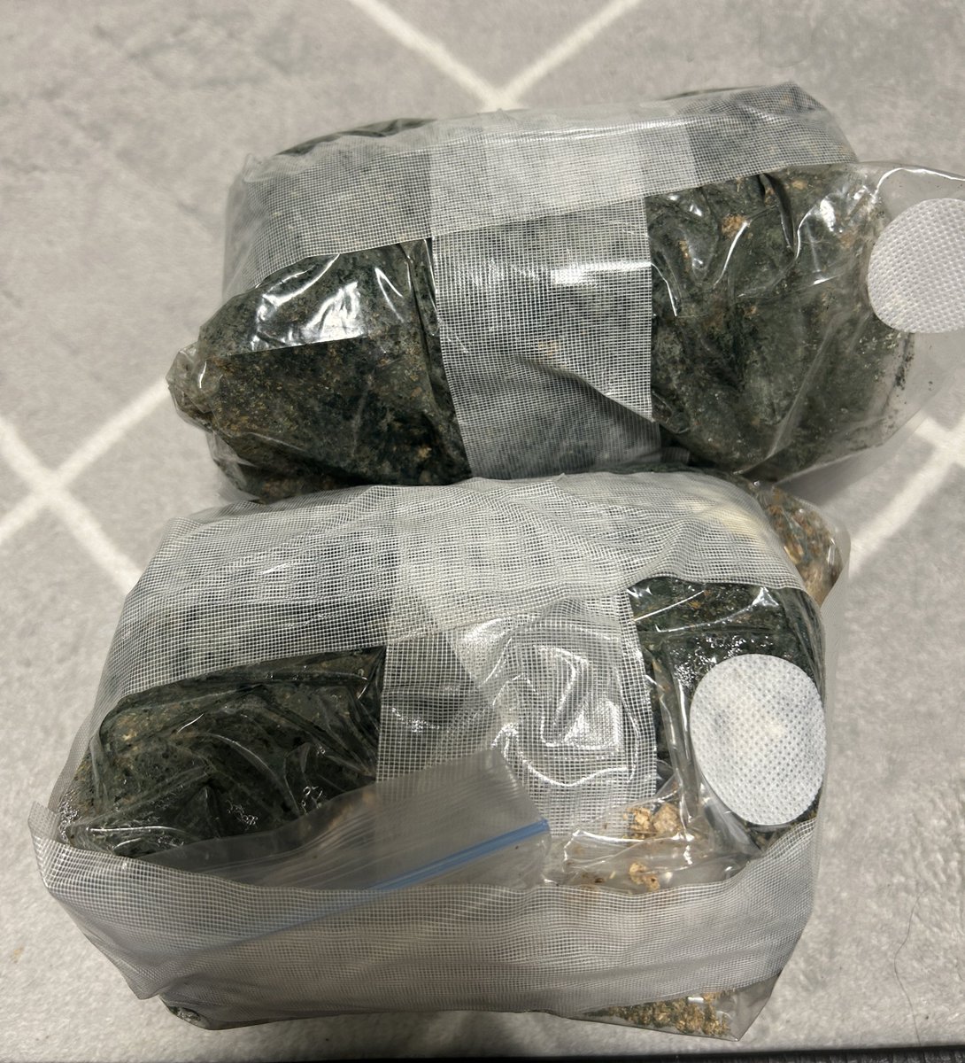 ジース tweet media