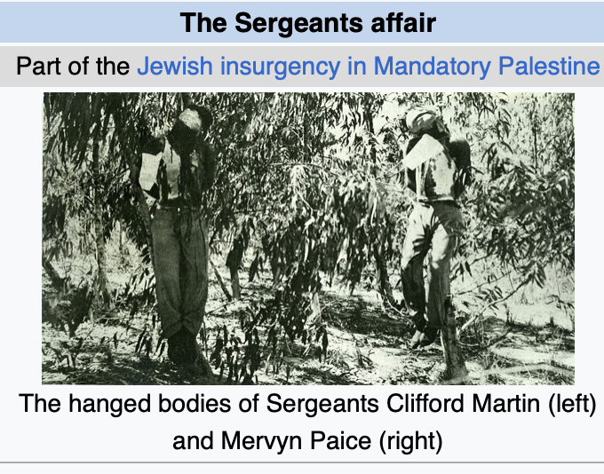 monty and lottie. (emma) tweet media