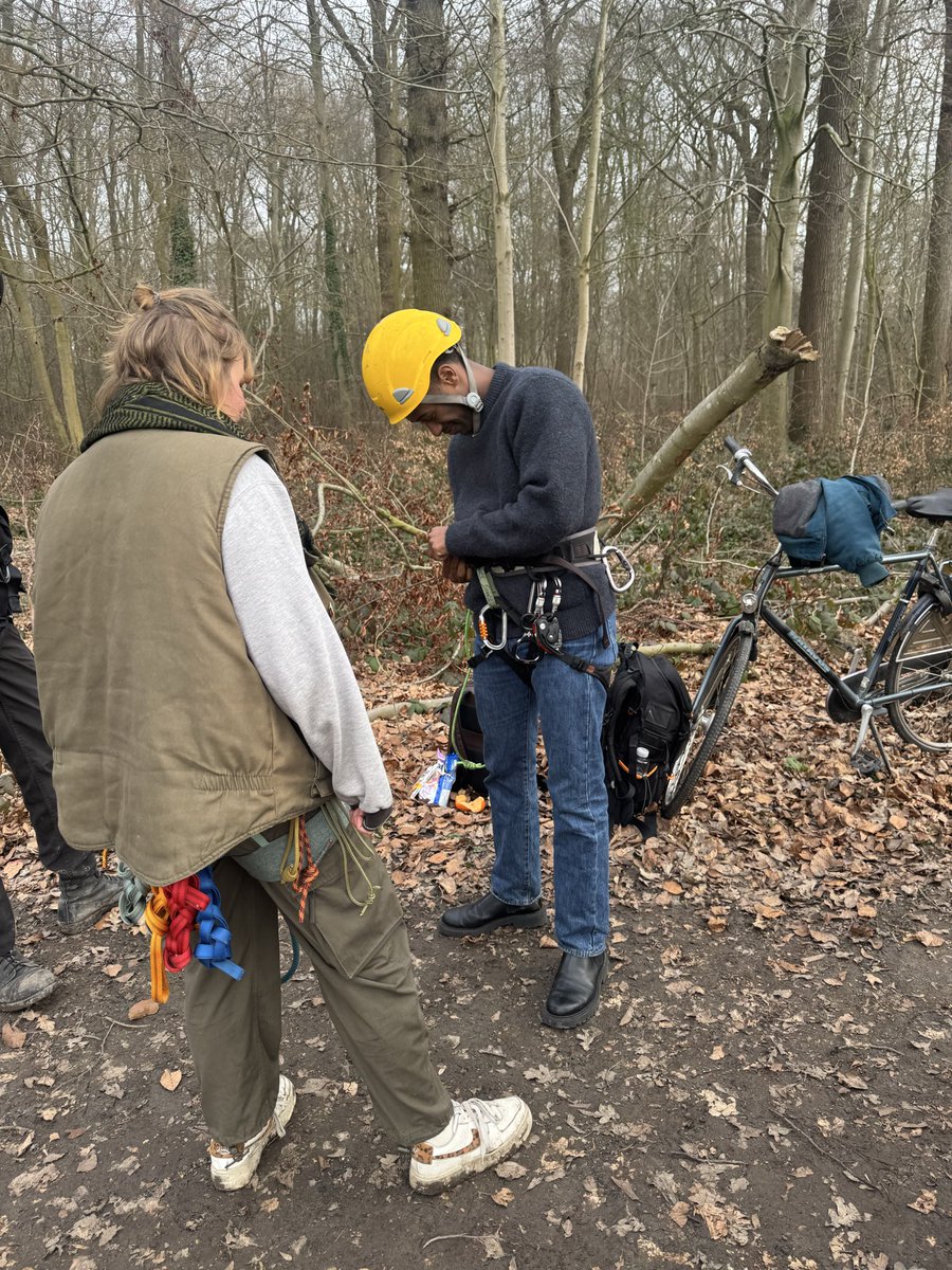 Habtamu de Hoop tweet media