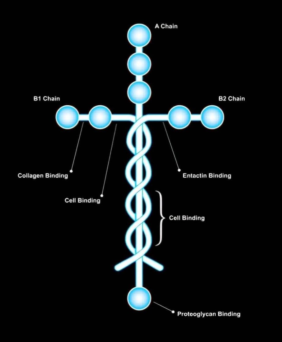 Trad West tweet media