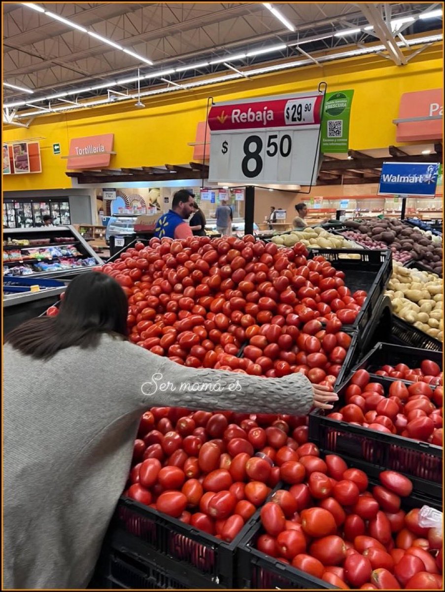 Mario Di Costanzo tweet media