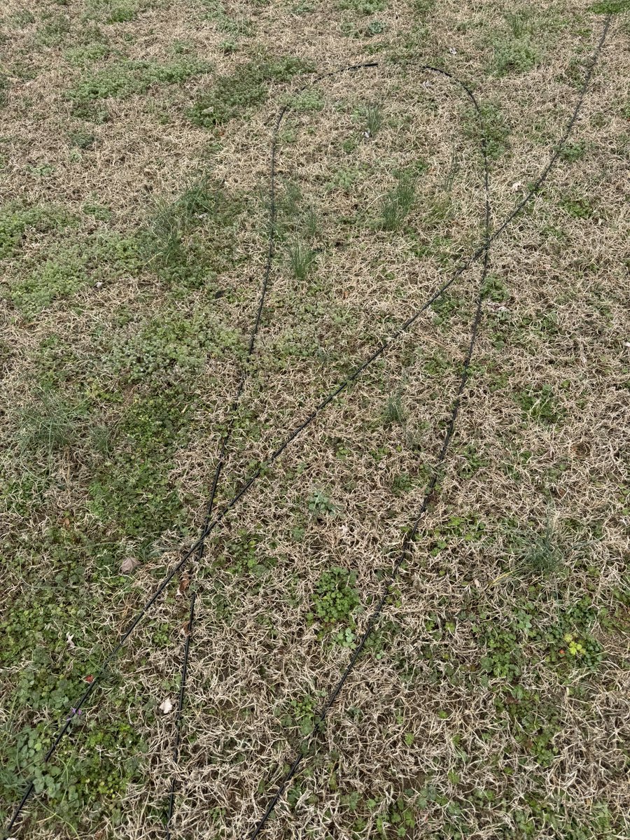 AtomicKoopa tweet media